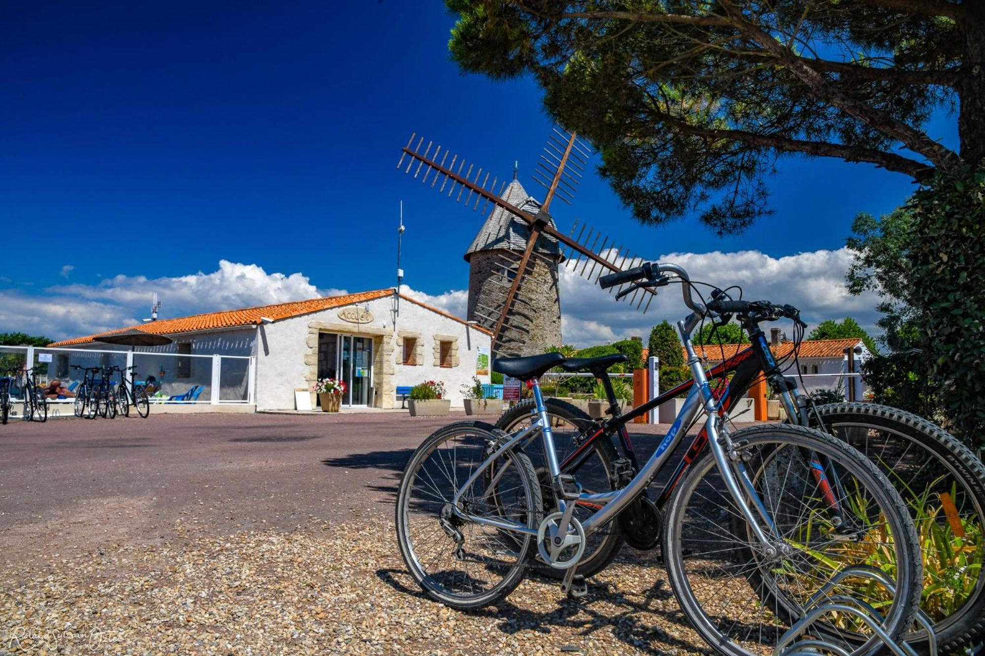 Camping Le Moulin De La Salle Les Sables-dʼOlonne Eksteriør bilde